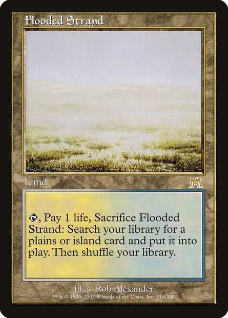 Grève inondée, carte Magic ONS 316 — extension Carnage
