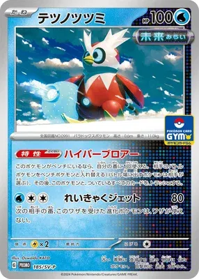 Iron Bundle, Pokémon card SV-P 185 — Scarlet & Violet Promos set