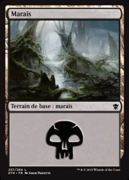 marais, carte Magic DTK 257 — extension Les Dragons de Tarkir
