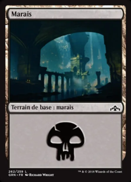 Marais, carte Magic GRN 262 — extension Les Guildes de Ravnica