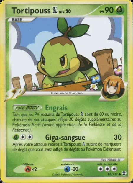 Tortipouss GL Niv. 20, carte Pokémon RR 85 — extension Rivaux Émergeants