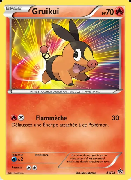 Gruikui, carte Pokémon BW 02 — extension Promo BW