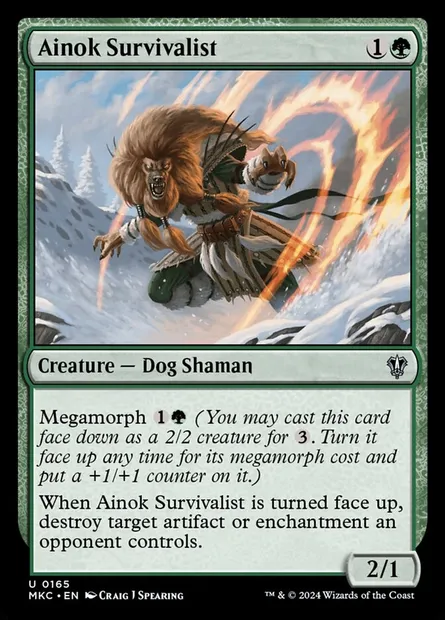 Ainok Survivalist, Magic card MKC 165 — Murders at Karlov Manor Commander set