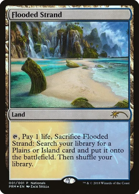 Grève inondée, carte Magic PNAT 2018 — extension Nationals Promos
