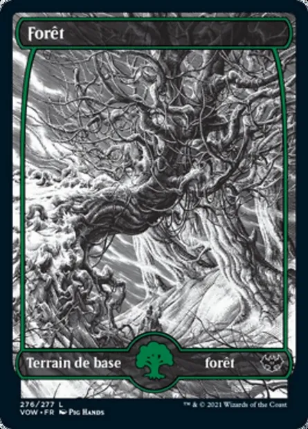 Forêt, carte Magic VOW 276 — extension Innistrad : noce écarlate