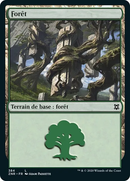 Forêt, carte Magic ZNR 384 — extension Renaissance de Zendikar
