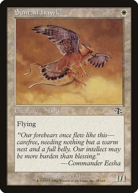 Suntail Hawk, Magic card JUD 28 — Judgment set