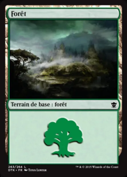 forêt, carte Magic DTK 263 — extension Les Dragons de Tarkir