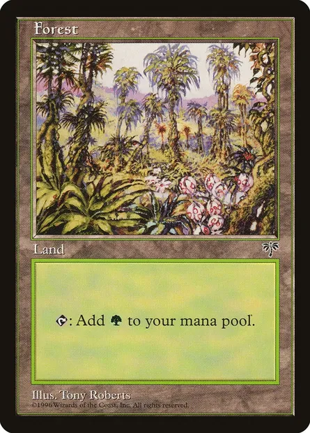 Forest, Magic card MIR 347 — Mirage set