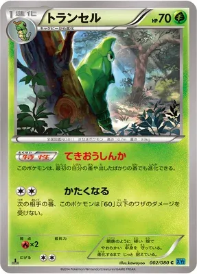 Metapod, Pokémon card XY2 002 — Wild Blaze set