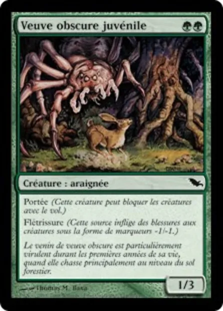 Veuve obscure juvénile, carte Magic SHM 121 — extension Sombrelande
