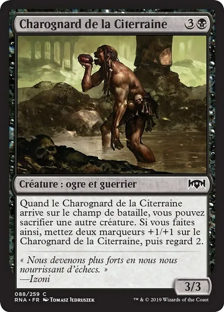Charognard de la Citerraine, carte Magic RNA 88 — extension L'allégeance de Ravnica