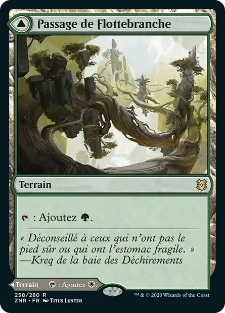 Passage de Flottebranche // Passage de Flotteroche, carte Magic ZNR 258 — extension Renaissance de Zendikar