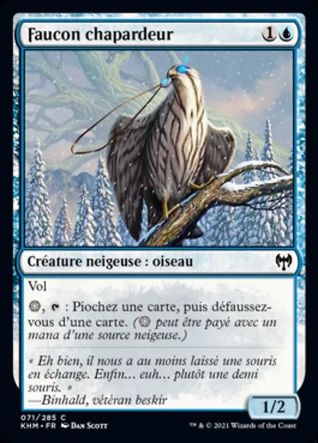 Faucon chapardeur, carte Magic KHM 71 — extension Kaldheim