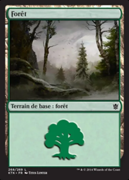 Forêt, carte Magic KTK 268 — extension Les Khans de Tarkir