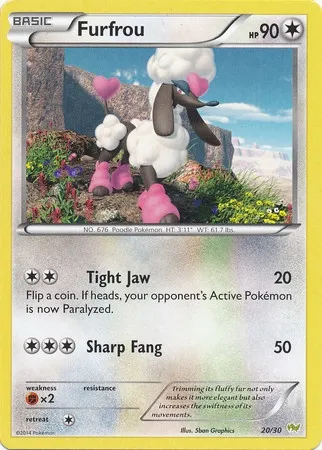Couafarel, carte Pokémon TK6N 020 — extension XY Trainer Kit: Noivern
