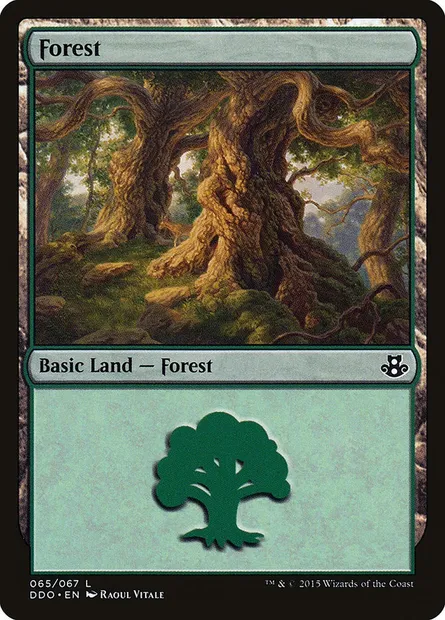 Forest, Magic card DDO 65 — Duel Decks: Elspeth vs. Kiora set