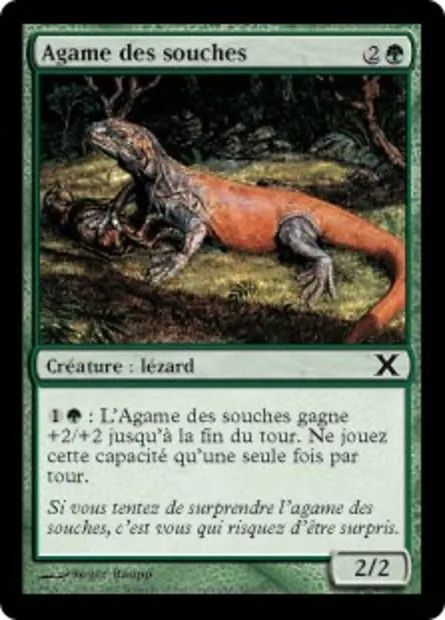Agame des souches, carte Magic 10E 293 — extension Dixième édition
