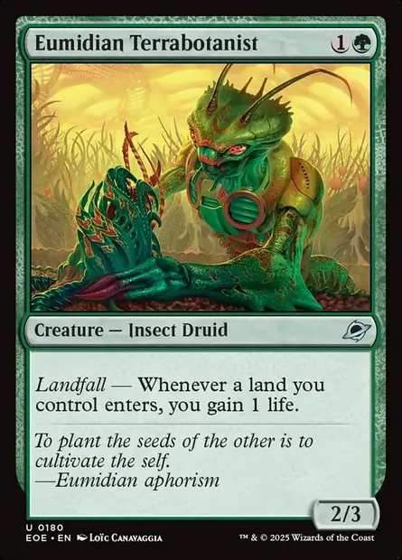 Eumidian Terrabotanist, Magic card EOE 180 — Edge of Eternities set