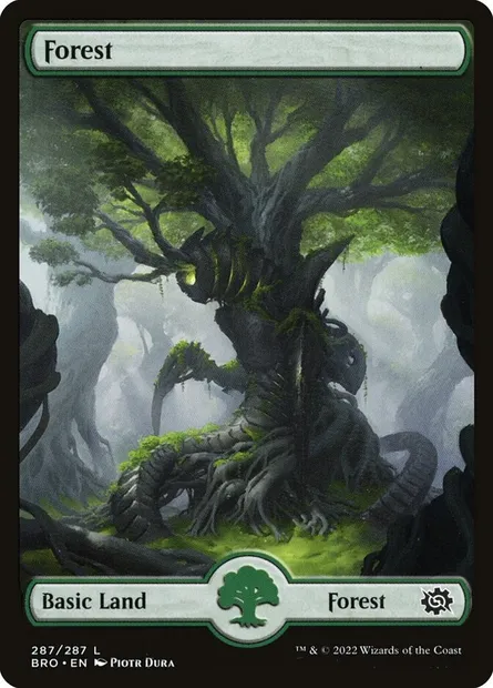 Forest, Magic card BRO 287 — The Brothers' War set