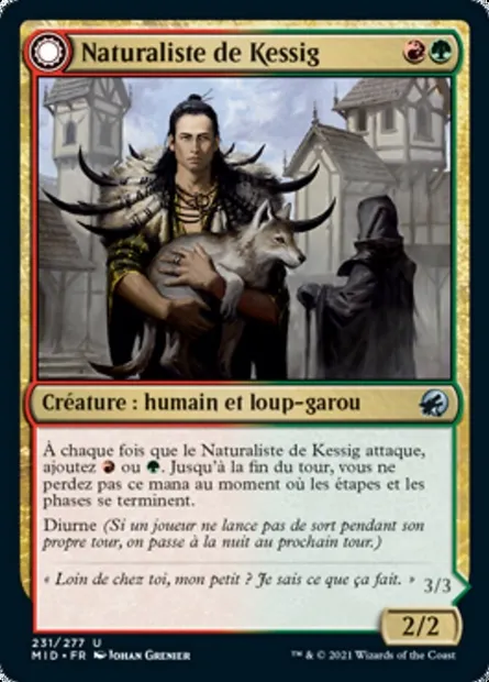 Naturaliste de Kessig // Seigneur d'Ulvenwald, carte Magic MID 231 — extension Innistrad : chasse de minuit