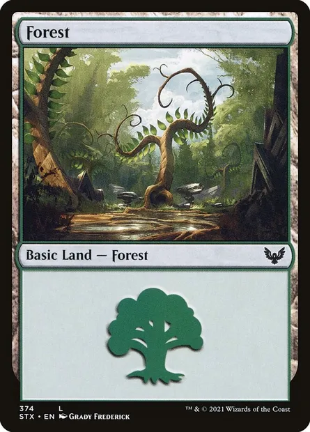 Forest, Magic card STX 374 — Strixhaven: School of Mages set