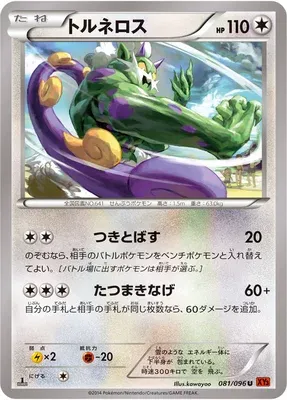 Tornadus, Pokémon card XY3 081 — Rising Fist set