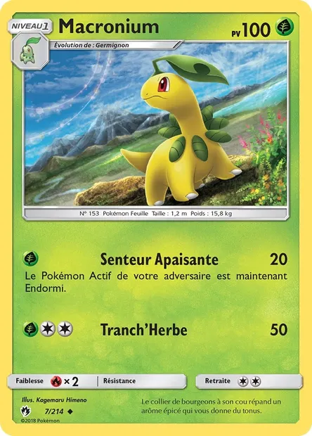 Macronium, carte Pokémon LOT 7 — extension Tonnerre Perdu