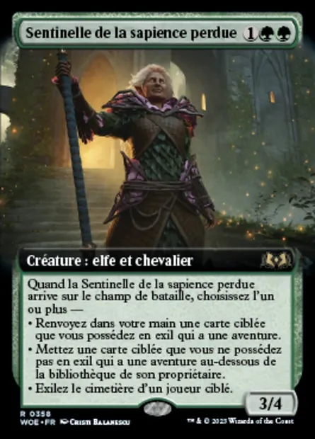 Sentinelle de la sapience perdue, carte Magic WOE 358 — extension Wilds of Eldraine