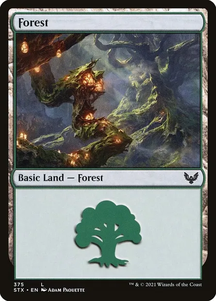 Forest, Magic card STX 375 — Strixhaven: School of Mages set
