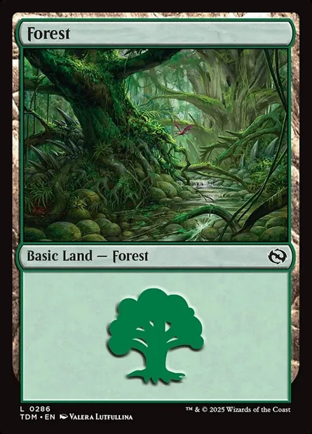 Forest, Magic card TDM 286 — Tarkir: Dragonstorm set