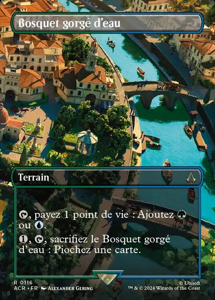 Bosquet gorgé d'eau, carte Magic ACR 116 — extension Assassin's Creed