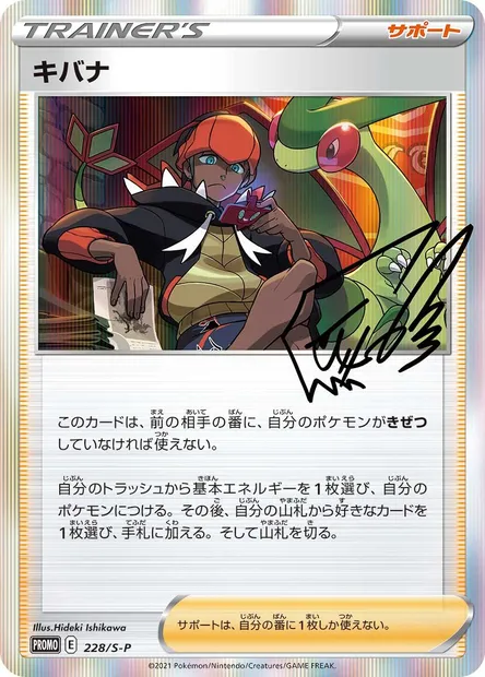 Roy, carte Pokémon S-P 228 — extension S-P: Sword & Shield Promos