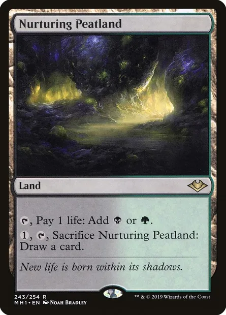 Nurturing Peatland, Magic card MH1 243 — Modern Horizons set