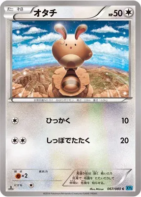Sentret, Pokémon card XY2 067 — Wild Blaze set