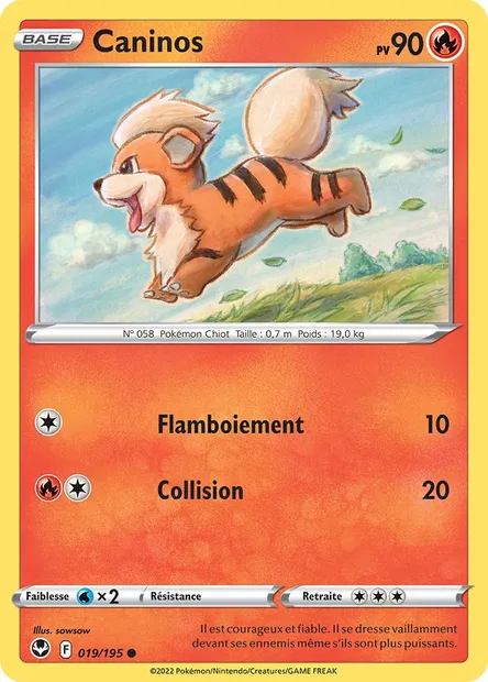 Caninos, carte Pokémon SIT 019 — extension Tempête Argentée