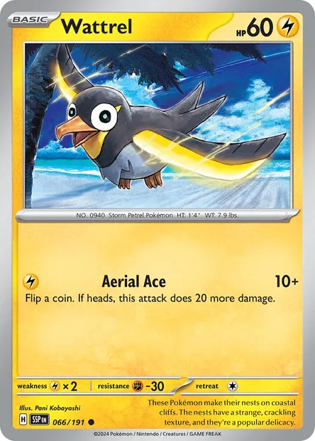 Wattrel, Pokémon card SSP 066 — Surging Sparks set