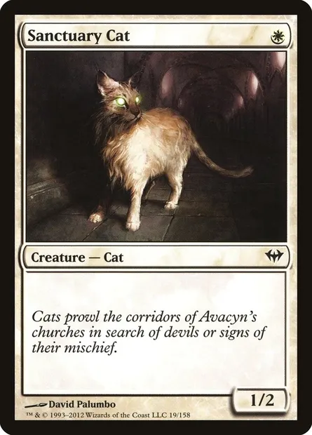 Sanctuary Cat, Magic card DKA 19 — Dark Ascension set