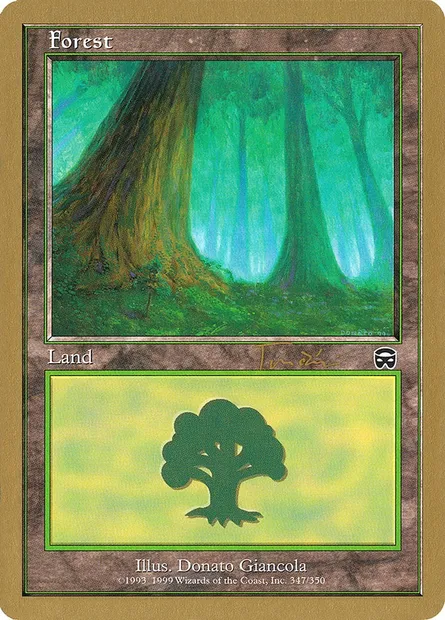 Forest, Magic card WC01 jt347a — World Championship Decks 2001 set