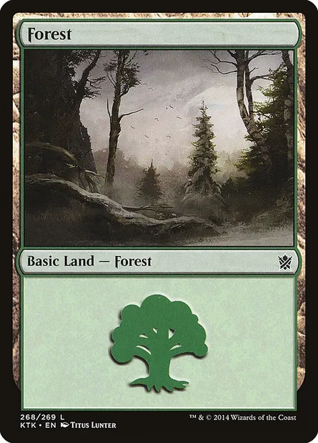 Forest, Magic card KTK 268 — Khans of Tarkir set