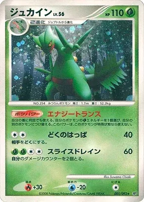Jungko, carte Pokémon DP6 005 — extension Intense Fight in the Destroyed Sky
