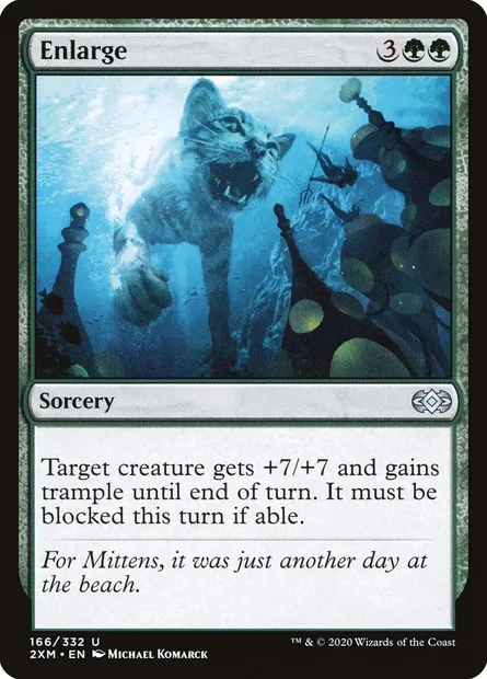 Enlarge, Magic card 2XM 166 — Double Masters set