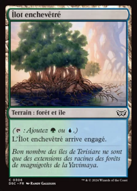 Îlot enchevêtré, carte Magic DSC 306 — extension Duskmourn: House of Horror Commander