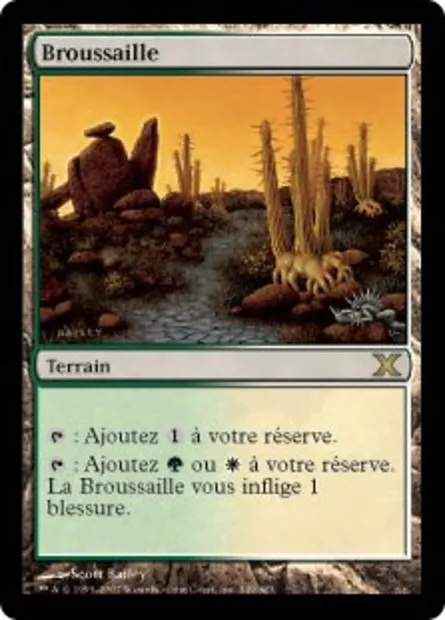 Broussaille, carte Magic 10E 349 — extension Dixième édition