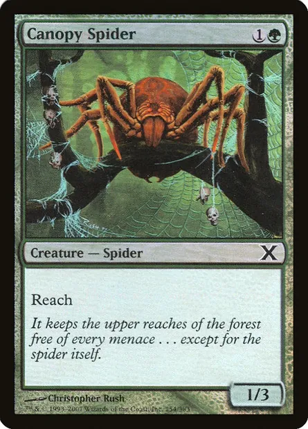 Canopy Spider, Magic card 10E 254★ — Tenth Edition set