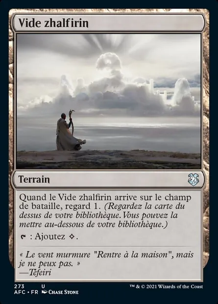 Vide zhalfirin, carte Magic AFC 273 — extension Forgotten Realms Commander