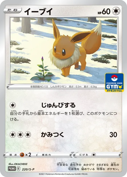 Eevee, Pokémon card S-P 220 — S-P: Sword & Shield Promos set