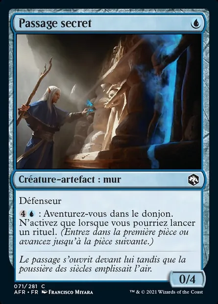 Passage secret, carte Magic AFR 71 — extension Forgotten Realms: Aventures dans les Royaumes Oubliés