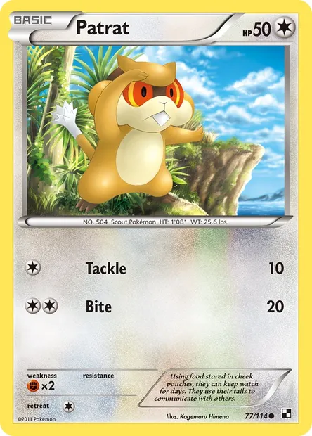 Patrat, Pokémon card BLW 77 — Black & White set