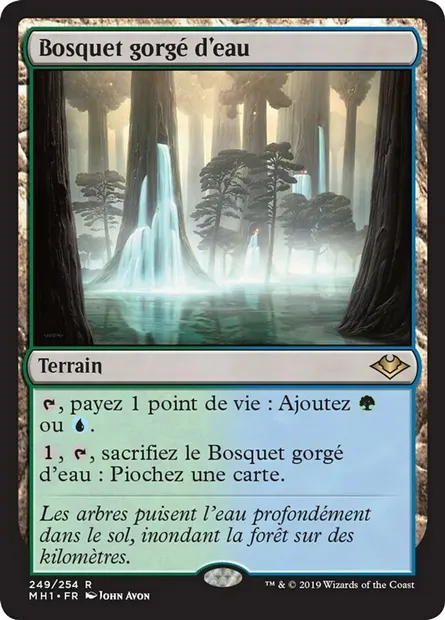 Bosquet gorgé d'eau, carte Magic MH1 249 — extension Horizons du Modern